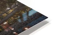 Fall In the Park HD Metal print