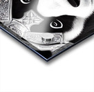 Knight Panda Acrylic print