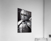 Knight Cat Acrylic Print