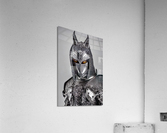 Knight Fox Acrylic Print