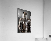 Knight Leopard Acrylic Print