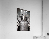 Knight Wolf Acrylic Print