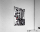 Knight Crocodile Acrylic Print