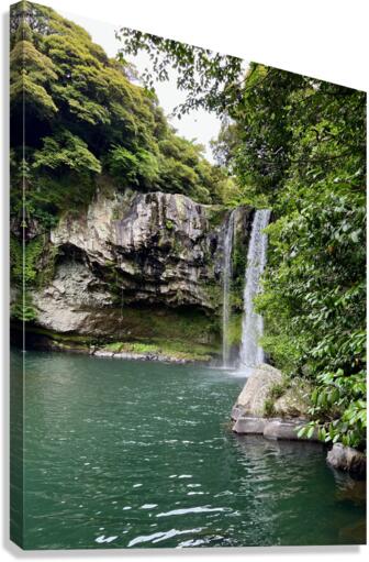Cheonjiyeon Waterfall Canvas Print