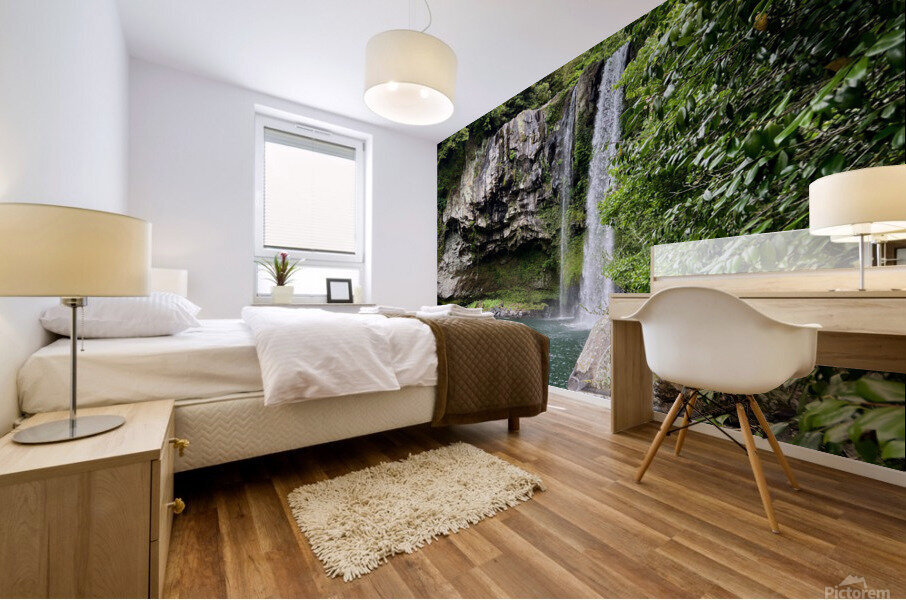 Cheonjiyeon Waterfall Mural print