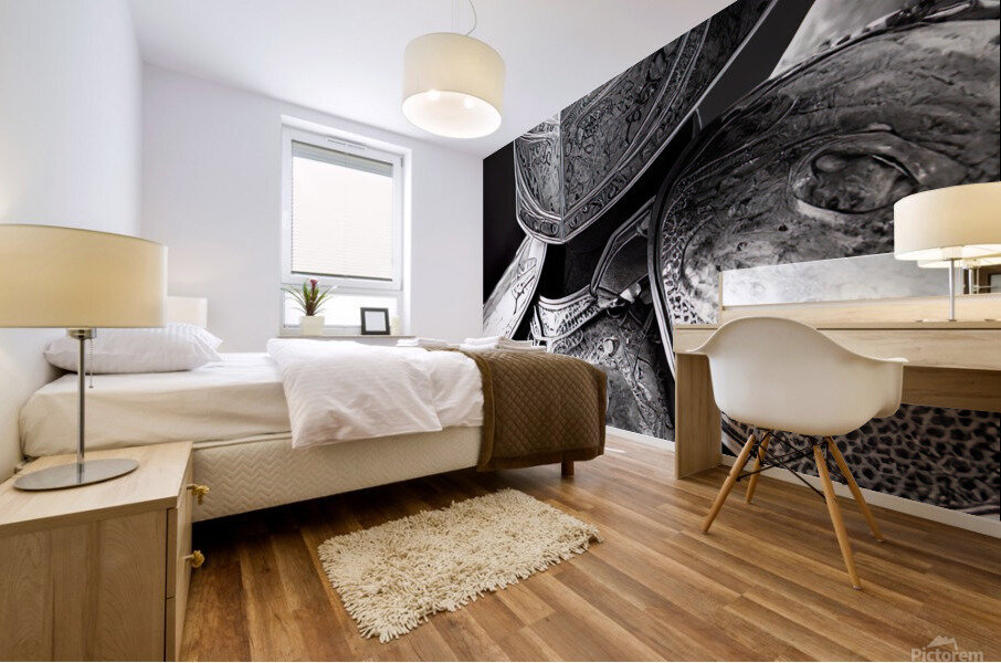 Knight Cat Mural print