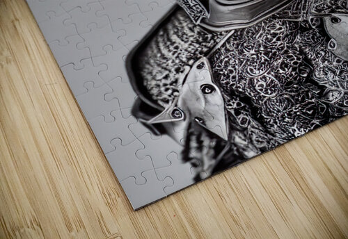 Knight Fox sepsis13 puzzle