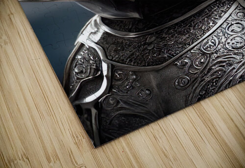 Knight Bear sepsis13 puzzle