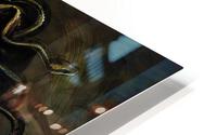 Medusa HD Metal print