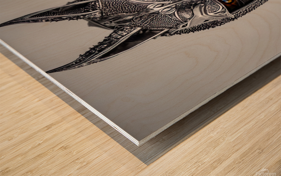 Knight Fox Wood print