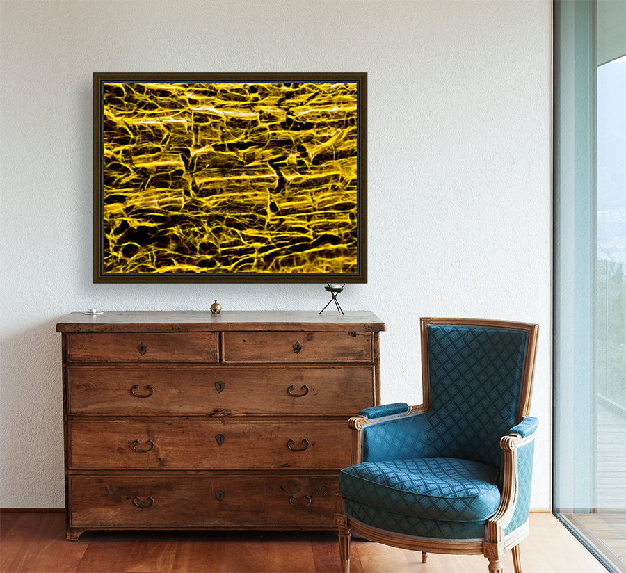ENERGIZED FIREWOOD Reproduction