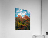 Cathedral Above Altar Below Acrylic Print