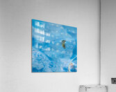 Fancy A Sssswimm Acrylic Print