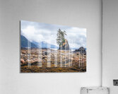 Low Tide Acrylic Print