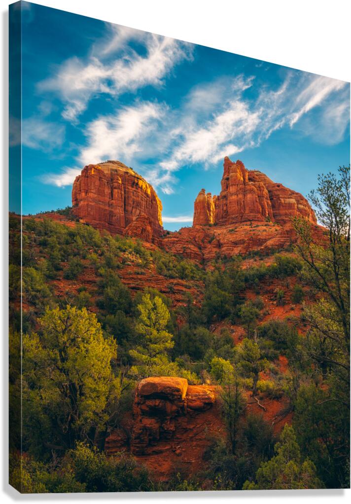 Cathedral Above Altar Below Canvas Print