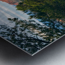 Abruptly The Coxcomb Metal print