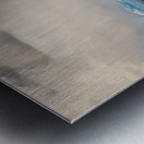 No Need For Irrigation Metal print