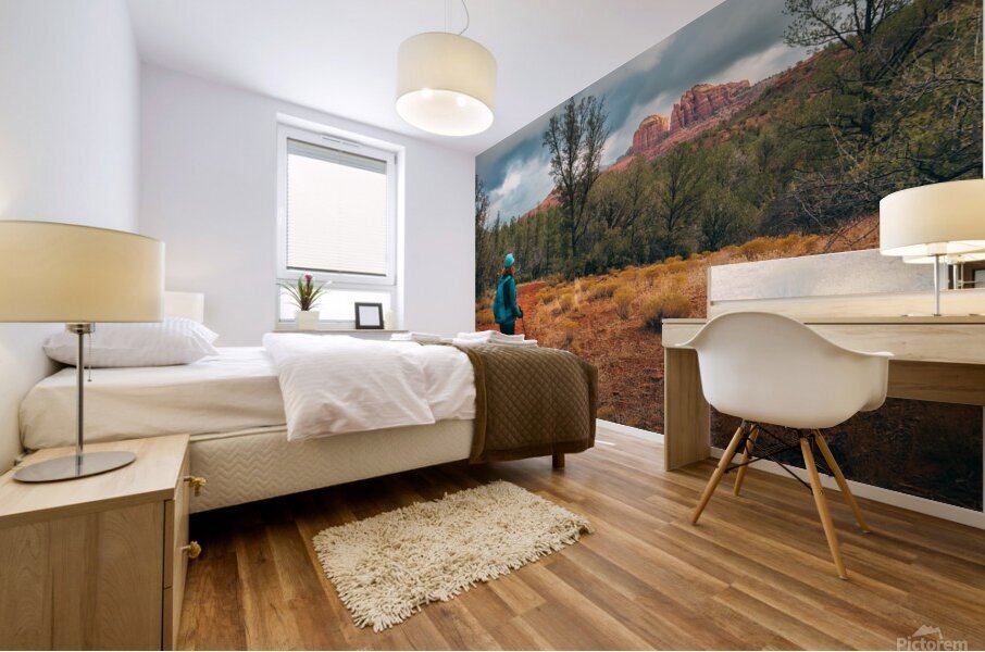 Red Head Red Rocks Mural print