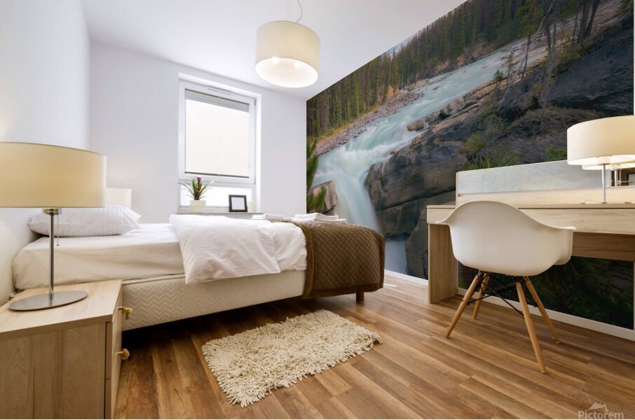 Sunwapta Falls Mural print