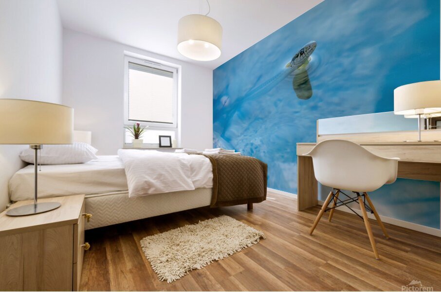 Fancy A Sssswimm Mural print