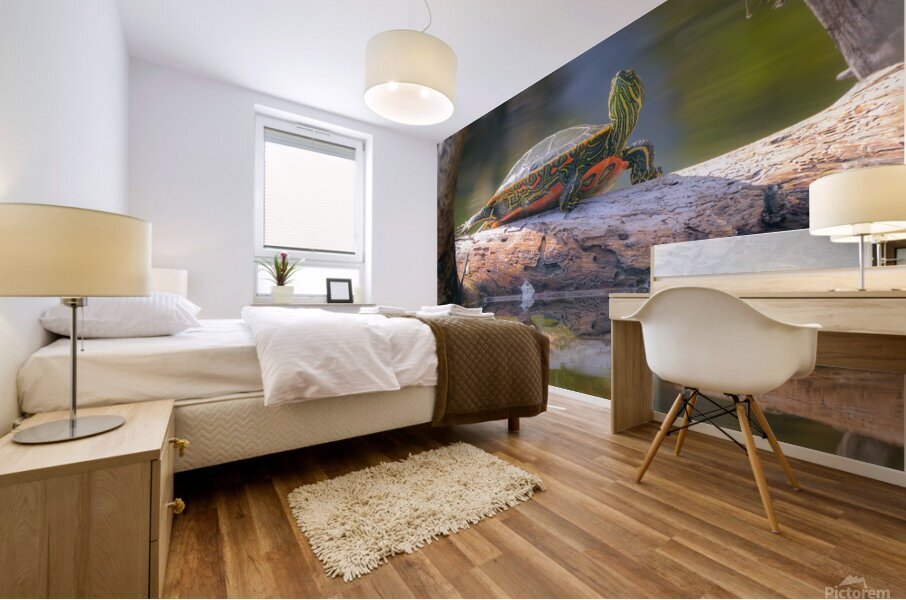 A Turtle Named Lillian Mural print