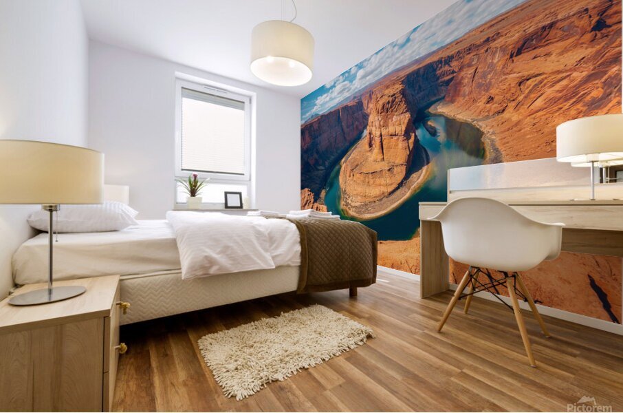 Horseshoe Bend Mural print