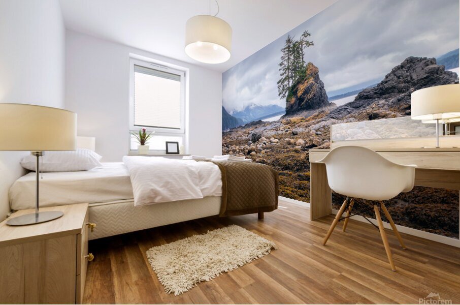 Low Tide Mural print