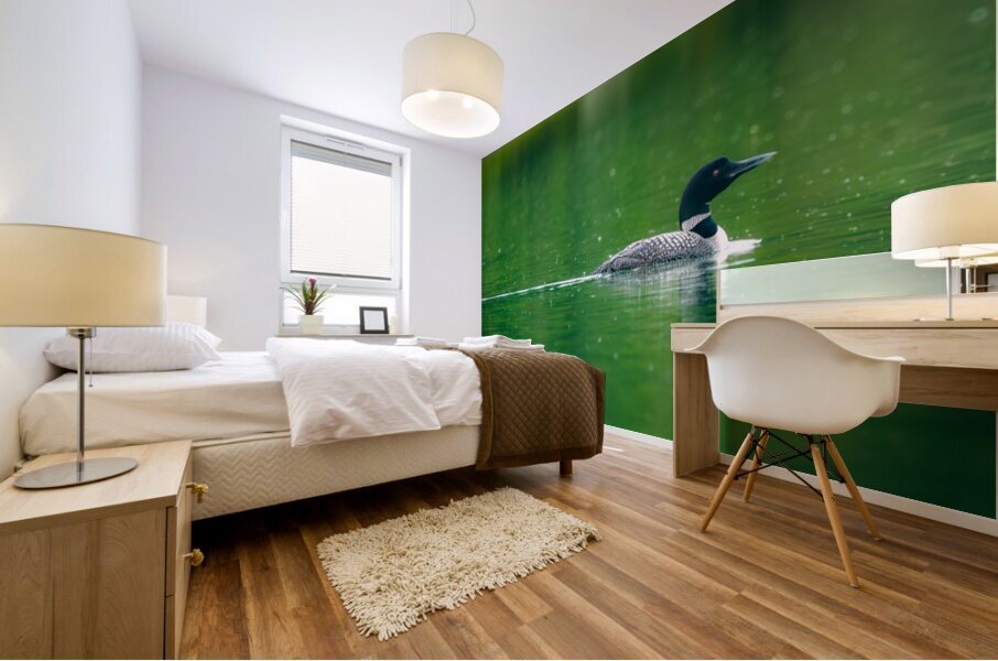 Loon in the Rain Mural print