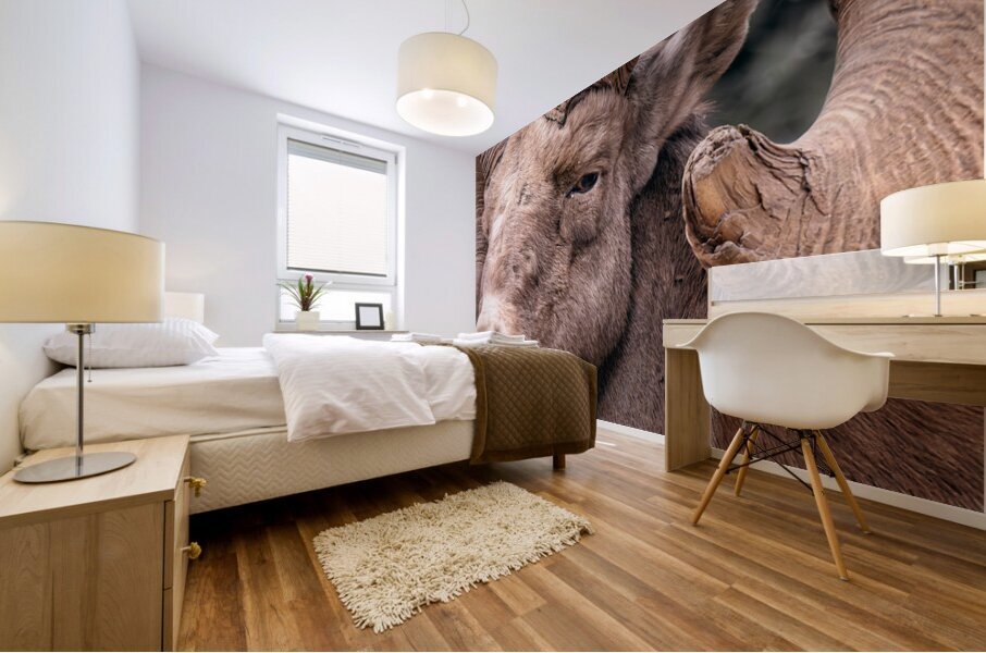 Veteran Mural print