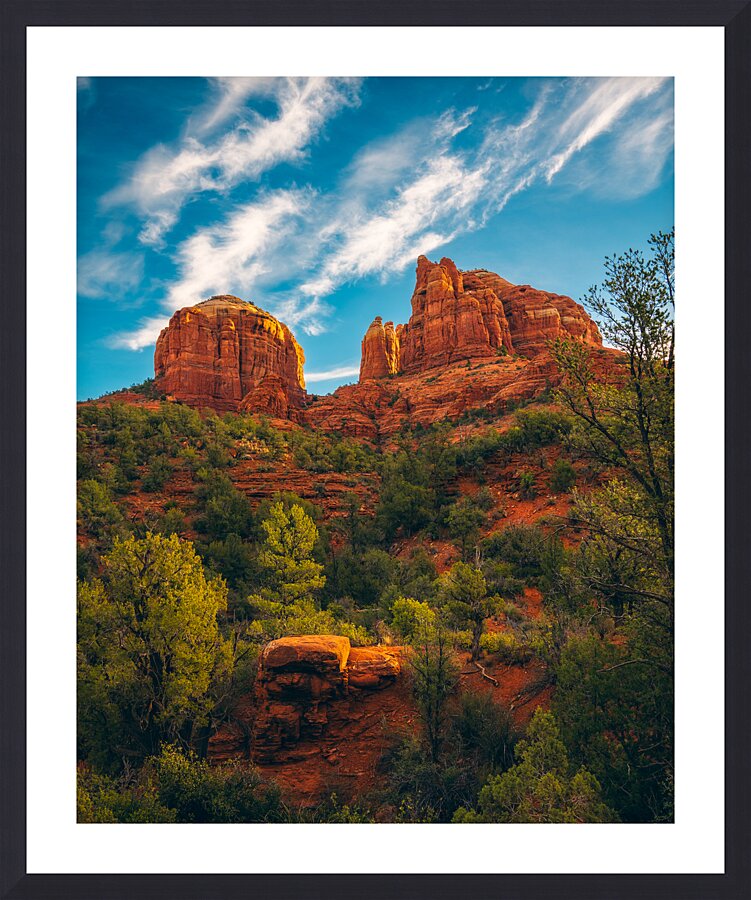 Cathedral Above Altar Below Picture Frame print