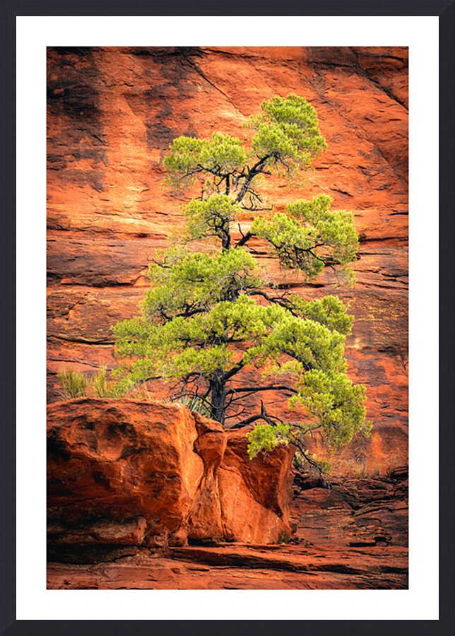 Camouflaged Picture Frame print