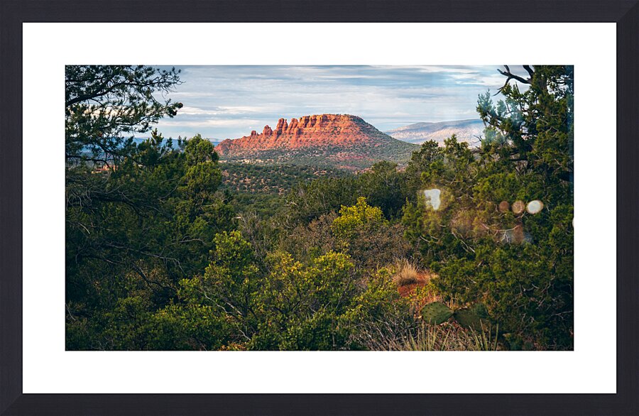 Abruptly The Coxcomb Picture Frame print
