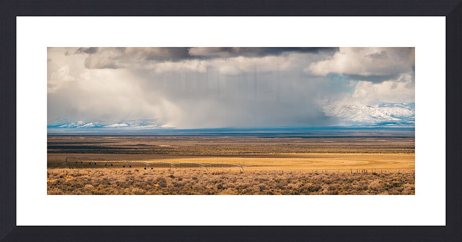 No Need For Irrigation Picture Frame print