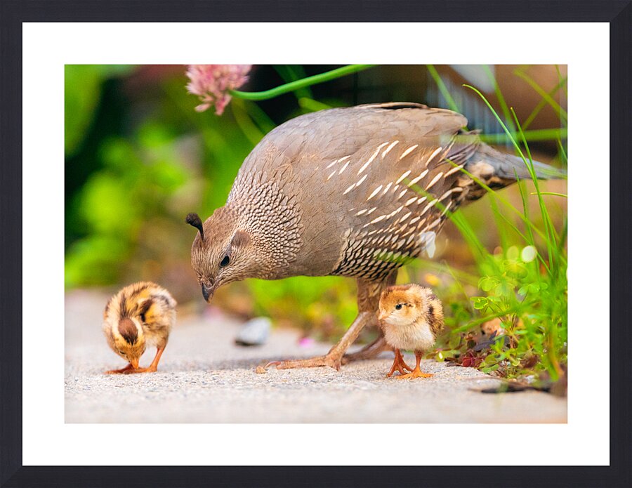 Lunch With Mom Picture Frame print