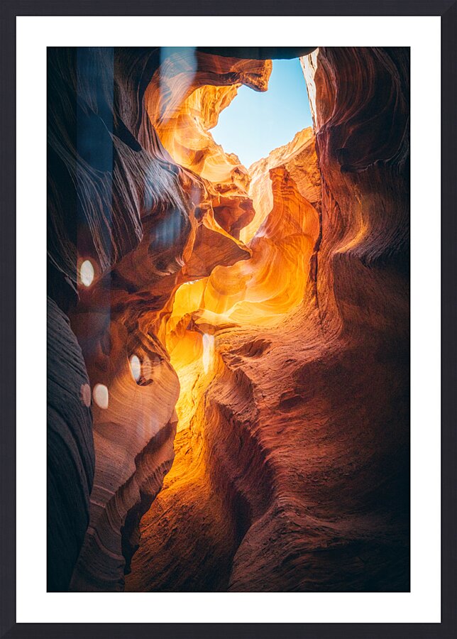 Multifoliate Folds Picture Frame print