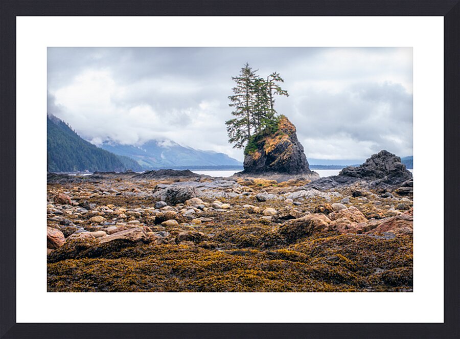 Low Tide Picture Frame print