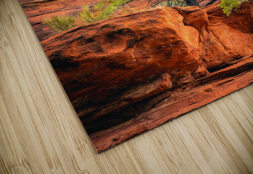 Camouflaged Paul Skelhorne Photography puzzle