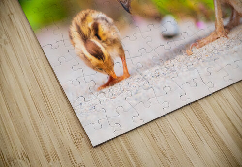 Lunch With Mom Paul Skelhorne Photography puzzle