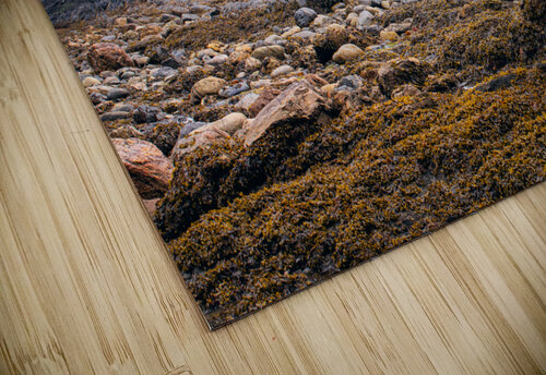 Low Tide Paul Skelhorne Photography puzzle