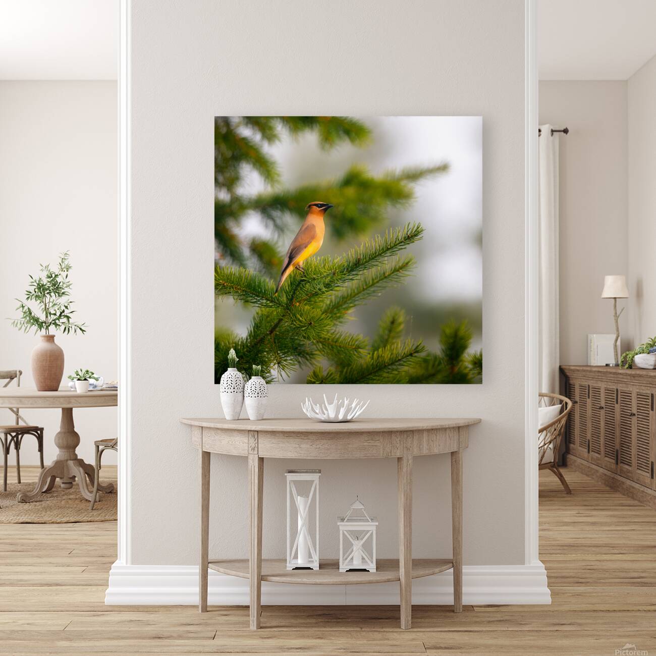 Cedar Waxwing 1 Reproduction
