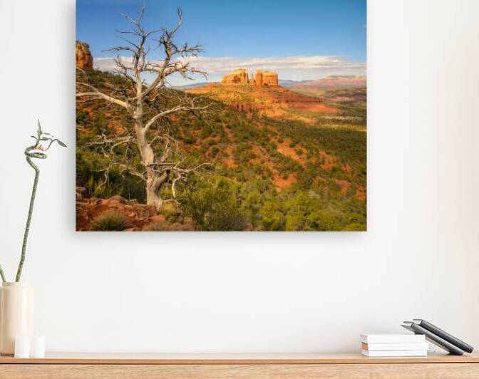 A Twisted Tale On The Trail by Paul Skelhorne Photography