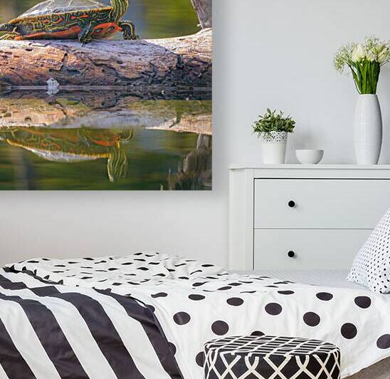 A Turtle Named Lillian by Paul Skelhorne Photography