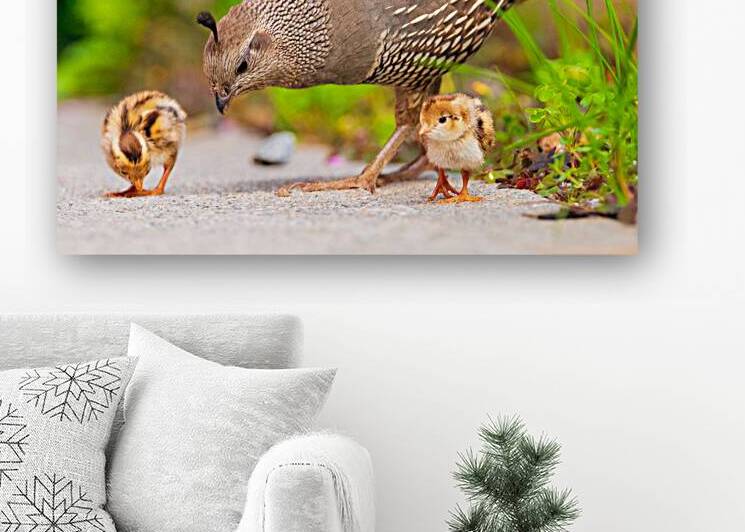 Lunch With Mom by Paul Skelhorne Photography
