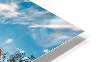 Cathedral Above Altar Below HD Metal print