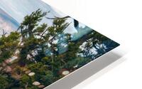 Abruptly The Coxcomb HD Metal print