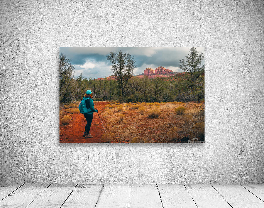 Red Head Red Rocks Wall Preview
