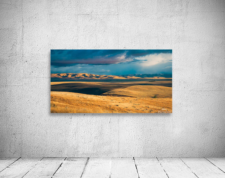 Rolling Grasslands Wall Preview