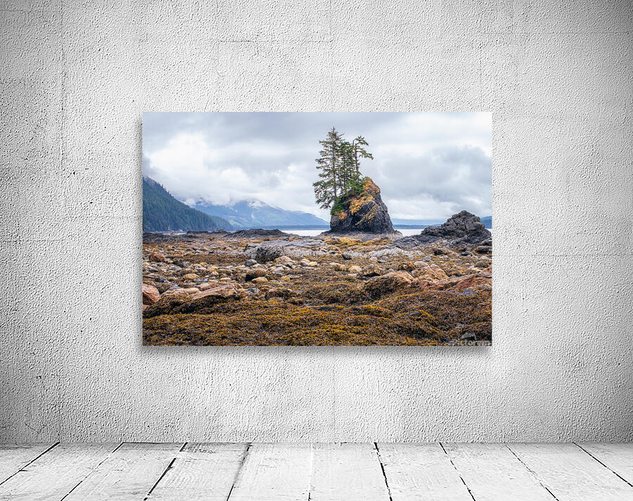 Low Tide Wall Preview