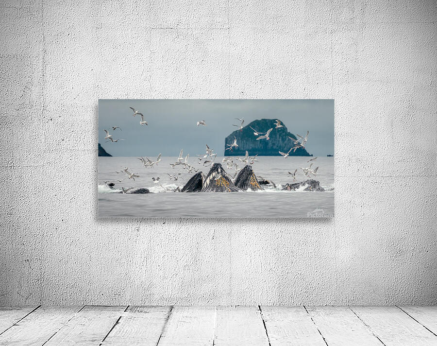 Whales At Work Wall Preview