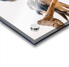 Gathering Acrylic print